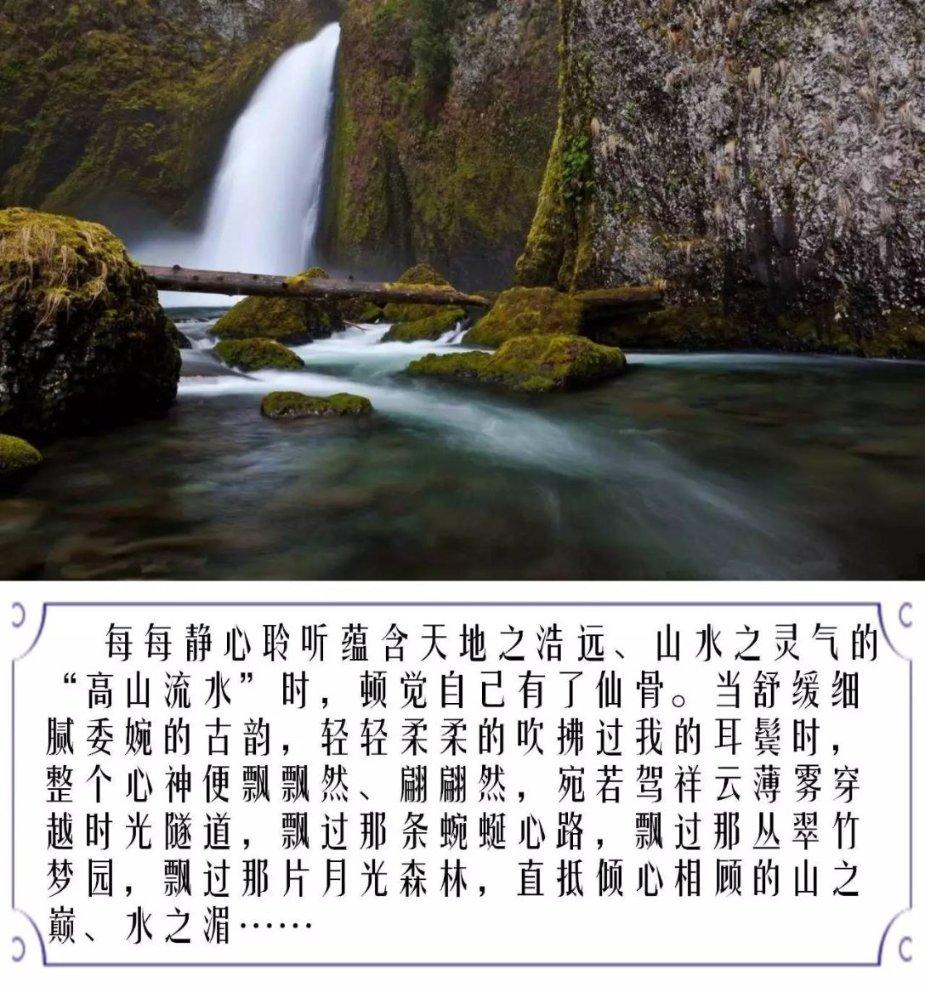 探索全球热点话题,畅聊求一个戚风蛋糕的配方表!的红迪网平台